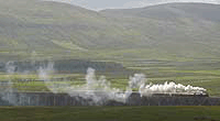 Lineside