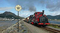 Preserved lines