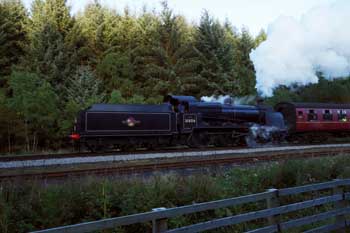 31806