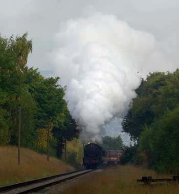 90733