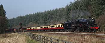 45428