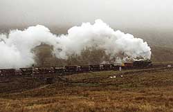 48151