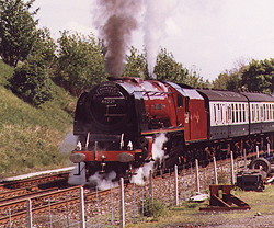 46229