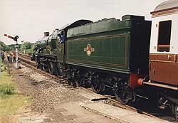 7029