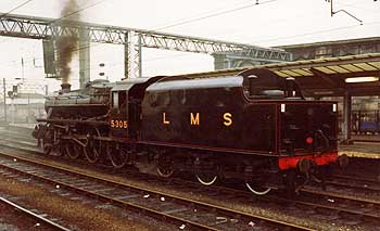 5305