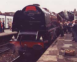 46229