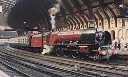 46229