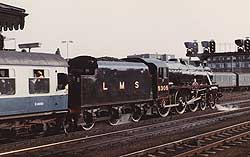 5305